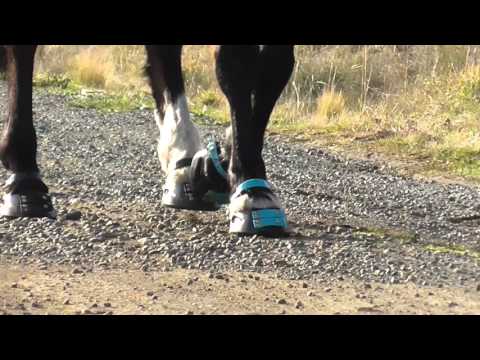 SCOOT BOOTS TEST/HUUR