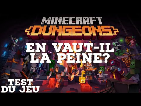 Revi et TwinSab -  Test/Review - Minecraft Dungeons - The best game of the year?  Switch/PS4/XBOX/PC