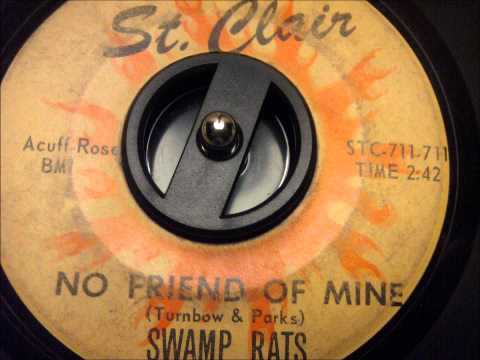 swamp rats - 