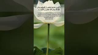 Download lagu QS. Ar Ra'd ayat 28, mengingat Allah hati menjadi tenteram mp3 Download lagu QS. Ar Ra'd ayat 28, mengingat Allah hati menjadi tenteram mp3