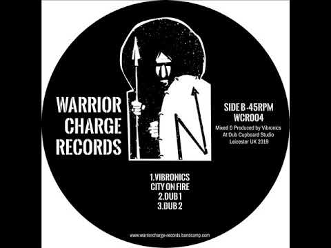 Anja G & Dr.Obi / Vibronics - Police brutalitiy / City on Fire - 12''45RPM