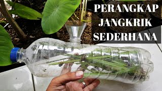 Download lagu HOW TO MAKE A CRICKET TRAP FROM A USED PLASTIC BOTTLE _ Battlesurvival official mp3 Download lagu HOW TO MAKE A CRICKET TRAP FROM A USED PLASTIC BOTTLE _ Battlesurvival official mp3