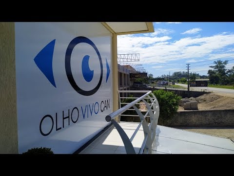 Live beneficente com Dinho e André