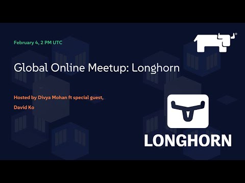 Global Online Meetup: Longhorn