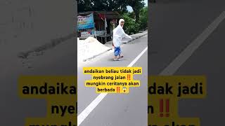 Download lagu andaikan tidak nyebrang, mungkin⁉️ #shortvideo #jalanan #kehidupan #fyp #trending mp3