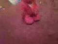 Laughing Elmo