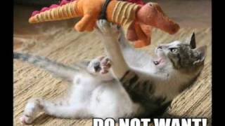 Lupe Fiasco &amp; Eva - &quot;Slow Down&quot; Mashup Music Video