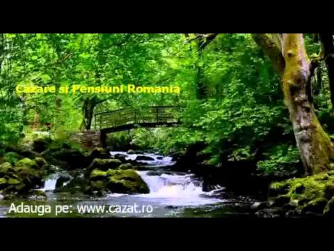 Cazare Buntesti, Bihor - Cazat.ro