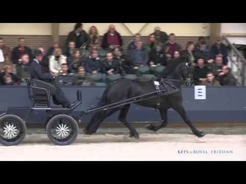 Gerben 479 &#8211; Doaitsen x Sape