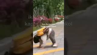 Download lagu STORY WA 30 DETIK TERBARU 2022 | STATUS WA KEREN KEKINIAN mp3