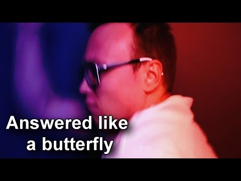 4 ROCZNICA - TheBeeczka answered like a butterfly v3