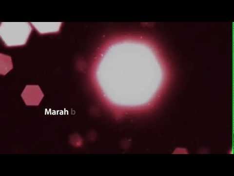 WARISAN - JASA BONDA