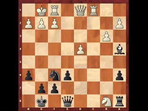 Chess: Eugenio Torre 2540 - Susan Polgar 2430, Queen's Gambit Declined http://sunday.b1u.org ✔️