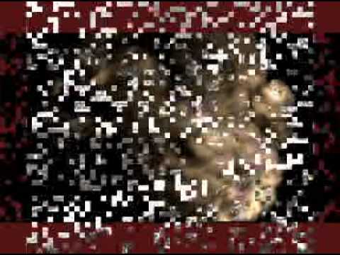 Leasa & Rappa Vocea Inimii