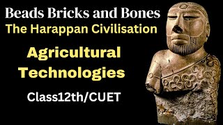 Bricks Beads and Bones | agricultural technologies of harappan civilization class 12 | 12th History