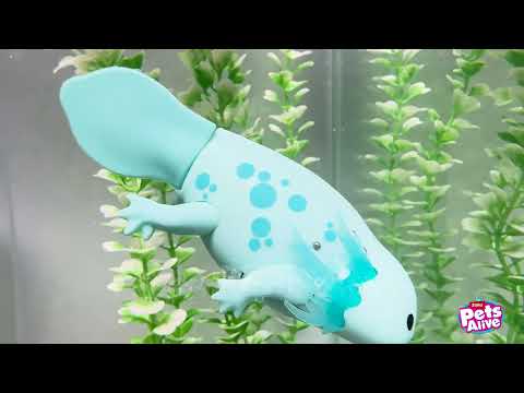 Gambar Zuru Pets Alive Swimming Axolotls Random