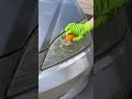 Headlight Cleaning Hack