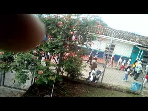 La fiesta de la virgen del Carmen en buenos aires cauca