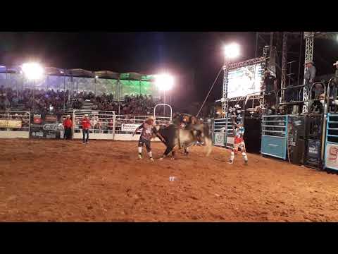 Locutor Júlio Henrique em Oscar Bressane 2018