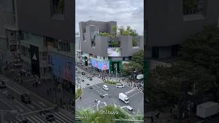 🇯🇵 Travelogue- Shibuya #japan #shibuya #art #installation #shibuyacrossing