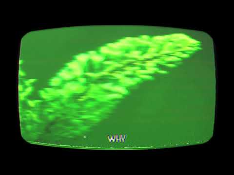 aldn - ifls [official lyric video]