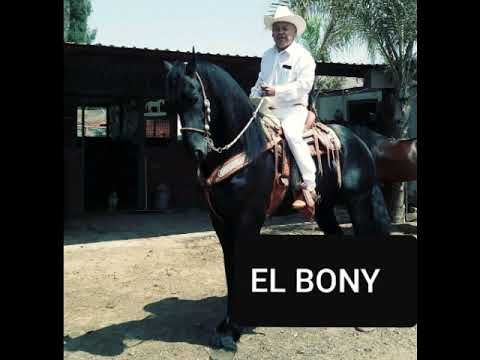 LA BORRACHITA EL BONY