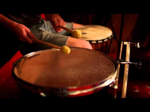 Issue #2: Alligator Teeth - Mother Falcon