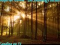 Tangerine Dream-The anthology decades 2008-Landing On 51