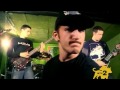 Animosity   Tooth Grinder