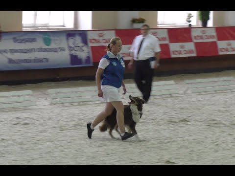 FCI Obedience World Championship 2016 ( Final )