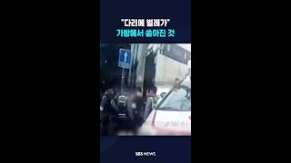 "다리에 벌레가" 가방에서 쏟아진 것 #shorts