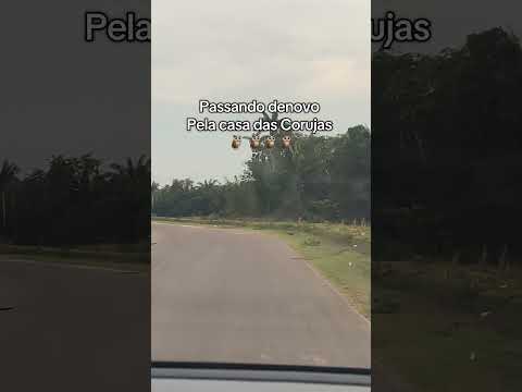 Deixando a comunidade e voltando pra Manaus, vol 🙏🏼 #RioPretodaEva #amazonas #fyp #viral #foryou