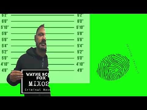 The Usual Suspects Mix028 Wayne Scott Fox