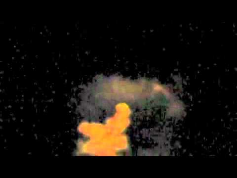 Giraffe during Night Safari.m4v