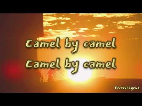 Camel by Camel by Sandy Marton | LYRICS (HQ)