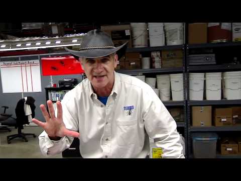 TERRO Liquid Ant Killer:  Bait, Wait, Eliminate