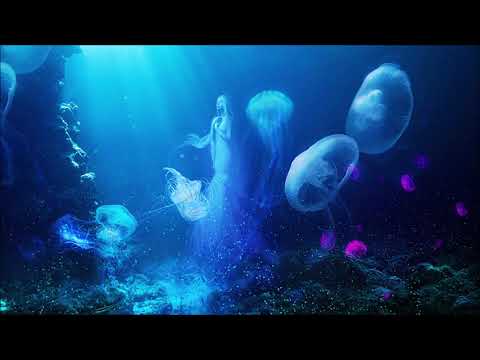 [Chill Space Mix Series 016] Martins Garden - Alive: Spirit Of Nature Mix