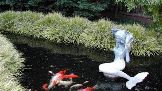 Koi Pond Design Ideas For A Rich And Tranquil Home Landscape