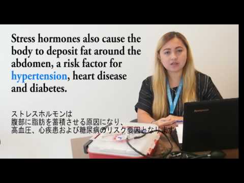 Medical Vocabulary 23 - Hypertension (メディカルイングリッシュ23 －高血圧)