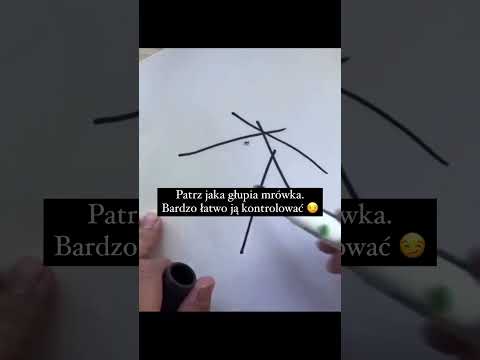 Matrix 🧠#dlaciebie#mocnyprzekaz #przekaz#przekazdlaciebie #mindset#życie#viral#matrix #schemat#fyp