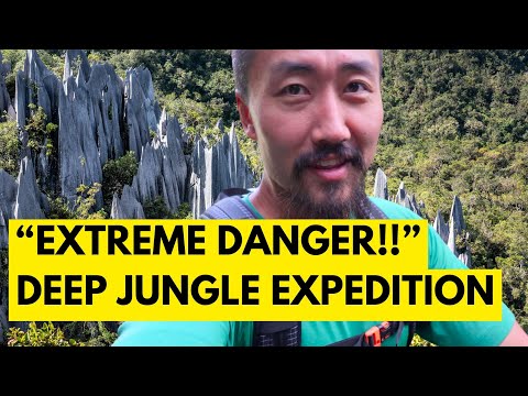 The Wildest National Park That You've Never Heard Of! Untamed Jungles of Gunung Mulu in Borneo