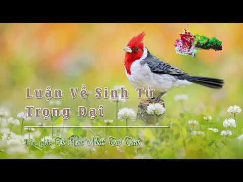 Chương 03: Luận Về Sinh Tử Trọng Đại