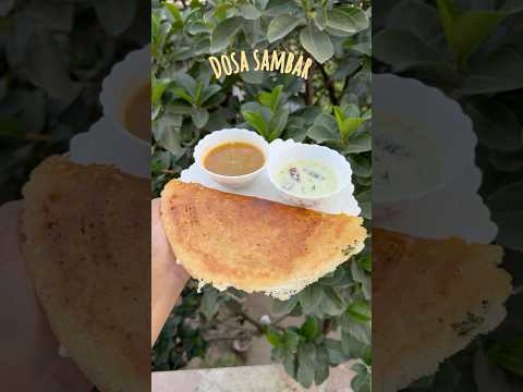 Dosa sambar #dosa #sambar #southindian #cooking #recipe #viralvideos