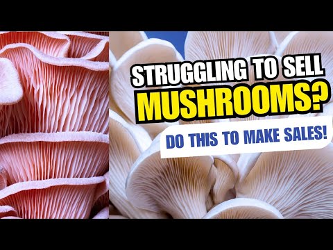 How to Sell Mushrooms FAST! | Top Marketing Strategies for Mushroom Farming Success