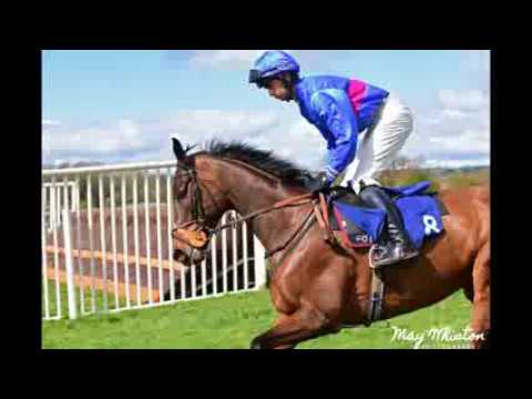 Ludlow Hunt point to Point @ Bitterley