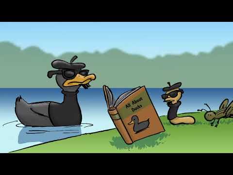 YouTube video