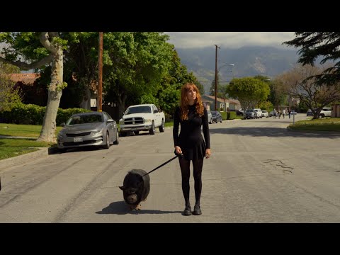 Evangeline - Neighborhood (Official Music/Lyric Video)