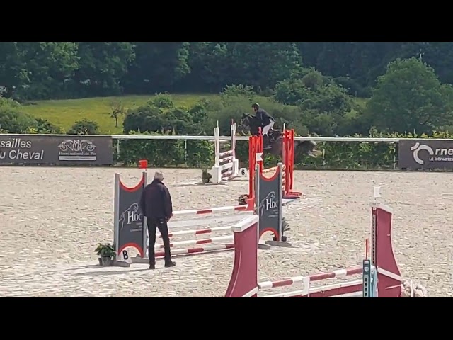 Jument 5 ans top amateur