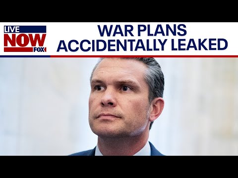 Video | REPORT: US-Houthi war plans accidently leaked over text messages