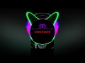 Anisi Bas La Vida TikTok Remix